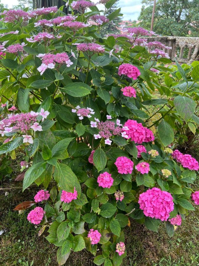 Holiday home Casa En 5 Y 2 Plantas *